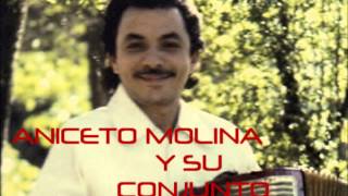 TRAIDORA MUJER  ANICETO MOLINA Y SU CONJUNTO [upl. by Lally]