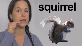 How to Pronounce Squirrel  American English Pronunciation [upl. by Odelle]