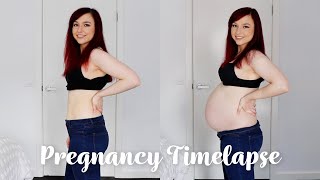 Cute Pregnancy Timelapse  3 to 37 Weeks  First Pregnancy [upl. by Darbee370]