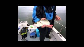 Bass Fishing Video  By Dave Barham Fishing [upl. by Nolyarg767]