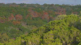 Balcones Canyonlands National Wildlife Refuge [upl. by Airalednac306]