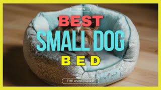 🔥 Best Dog Bed for Small Dogs in 2024 ☑️ TOP 5 ☑️ [upl. by Cinemod]