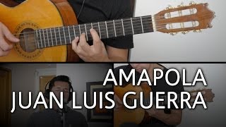 Amapola Juan Luis Guerra Guitarra Cover Mauro Martinez [upl. by Kameko]