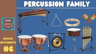 PERCUSSION FAMILY  INSTRUMENTS OF THE ORCHESTRA  LESSON 6  LEARNING MUSIC HUB  ORCHESTRA [upl. by Gregrory]