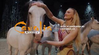 Cavalia in Camarillo  Discover our 4legged stars [upl. by Anahsat]