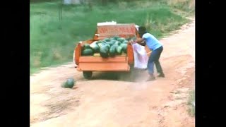 Leon Schuster  Runaway bakkie full of watermelons [upl. by Ty790]