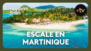 Escale en Martinique  Echappées Belles [upl. by Pontias]