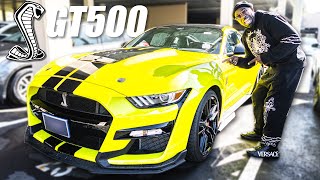 BUYING A FORD SHELBY GT500 [upl. by Imojean477]