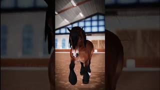 âš ï¸FWâš ï¸ Ardennes Horse starstable [upl. by Libnah507]