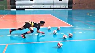 Best Libero Volleyball Trainings 2018 HD [upl. by Aicilec144]