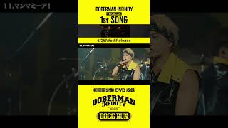 626発売 DOBERMAN INFINITY 10周年SG『1stSONG』初回盤DVD「DOBERMAN INFINITY LIVE TOUR 2023 quotDOGG RUNquot 」ライブ映像収録 [upl. by Okoyik270]