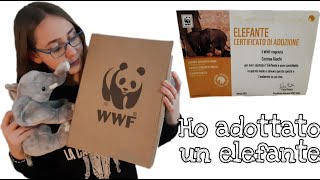 Ho adottato un elefante idea regalo a tema animali [upl. by Repooc]