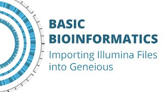 Basic Bioinformatics How to Import Illumina Files into Geneious [upl. by Alrahs968]