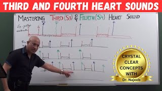 Mastering S3 and S4  Learn Third and Fourth Heart Sounds🫀 [upl. by Beatriz]