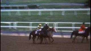 Triple Crown Winners Secretariat Seattle Slew and Affirmed [upl. by Herra158]