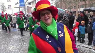 Fasnacht in Lörrach Großer Umzug 2018 [upl. by Itsym]