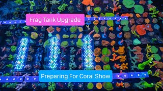 This Might Be The Best Frag Tank Light [upl. by Lennor]