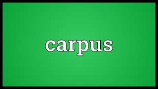 Carpus Meaning [upl. by Tychonn3]