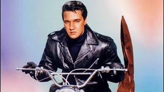 Official Trailer  ROUSTABOUT 1964 Elvis Presley Barbara Stanwyck Joan Freeman Raquel Welch [upl. by Ahsenev]