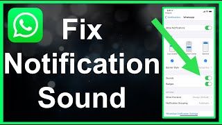 How To Fix WhatsApp Notification Sound EASY [upl. by Ahseyi645]