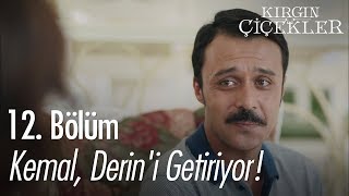 Kemal Derini getiriyor  Kırgın Çiçekler 12 Bölüm [upl. by Sprage56]