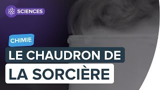 Le chaudron de la sorcière  les incroyables expériences de chimie  Futura [upl. by Niar]