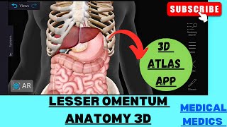 Lesser Omentum  Anatomy of Lesser Omentum 3d  Abdomen Anatomy [upl. by Amil329]