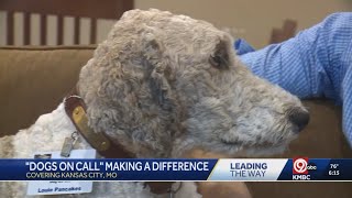 KMBC  Therapy Poodle Brings Comfort to Hospice Patients at Saint Lukes Hospice House [upl. by Radnaskela]