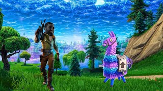 FORTNITE BUT IM GIGACHAD [upl. by Leelah]