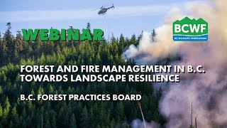 Forest and Fire Management in BC Toward Landscape Resilience [upl. by Kirima]