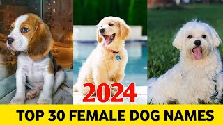 Top 30 Female Dog Names 2024  Female dog mame  new dog Names [upl. by Buschi]