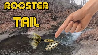 Rooster Tail Saves The Day While Trout Fishing [upl. by Karli398]