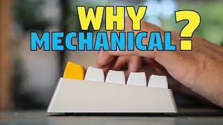 Why Get a Mechanical Keyboard [upl. by Alyse]