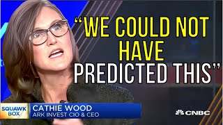 Cathie Wood If You Are a Tesla Shareholder Get Ready for Something HUGE [upl. by Hannie]