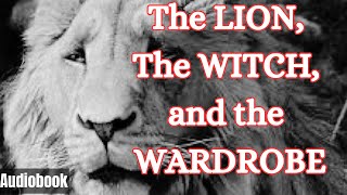 The Lion the Witch and the Wardrobe  Southern Audiobook Ch 5 [upl. by Herod]