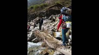 Crossing Log Bridge on the Annapurna Base camp trek Trail using indigenous knowledge [upl. by Dud]