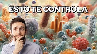 Cómo las Bacterias Controlan Tu Cerebro [upl. by Llehcim932]