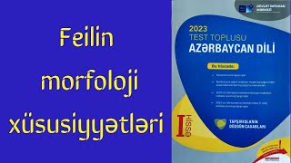 Feilin morfoloji xüsusiyyətləri Azərbaycan dili test toplusu [upl. by Arrac]