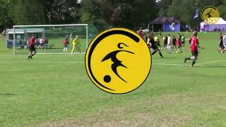 1 FFC Fortuna Dresden U17 vs Randaberg Fotball 10 [upl. by Uda139]