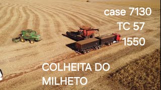 CASE IH 7130 E NEW HOLLAND TC 57 E UMA 1550 JOHN DEERE COLHENDO LAVOURA DE MILHETO NO GOIAS 2024 [upl. by Ellehsram]