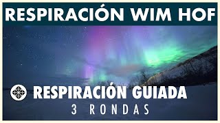 Instrucciones de respiración de Wim Hof Mantener la respiración  hipoxia controlada [upl. by Aslin]