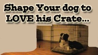 Shaping your dog to love his crate  Clicker Training Tutorial [upl. by Xel]