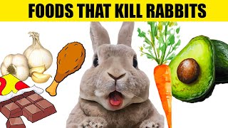 14 Foods That Will KILL Your Rabbit [upl. by Lj]