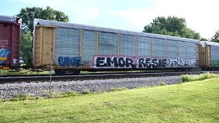 Galesburg Illinois 8102024 Peck Park part 1 [upl. by Whitcomb853]