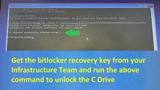 How to Fix the CrowdStrike BSOD Error With Bitlocker Recovery [upl. by Nail]