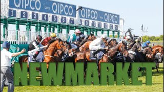 【NEWMARKET ROWLEY】 UNITED KINGDOM HORSE RACE ANALYSIS [upl. by Farlie]