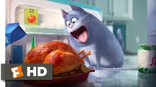 The Secret Life Of Pets 2016 Scene quotAt The Dog Parkquot [upl. by Salkcin]