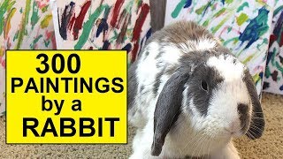 300 paintings made by a rabbit [upl. by Seniag899]