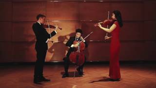 Astor Piazzolla  Oblivion arr for String Trio [upl. by Annauqahs]