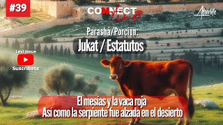 Porción JUKATEstatutos El mesías y la vaca roja  Así como la serpiente fue alzada en el desierto [upl. by Ruben]